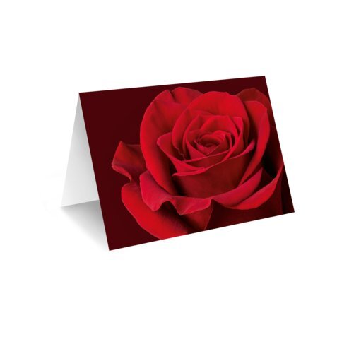 Grußkarte &bdquo;Rote Rose