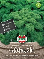 Sperli Samen, Grünkohl, (Brassica oleracea), Sorte:Halbhoher grüner krauser
